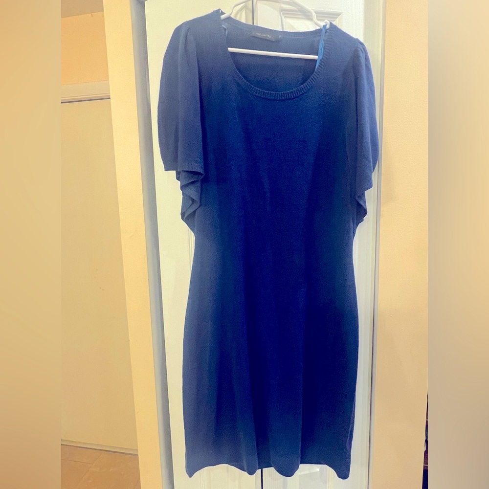 Beautiful simple lightweight sweater dress by The Limited